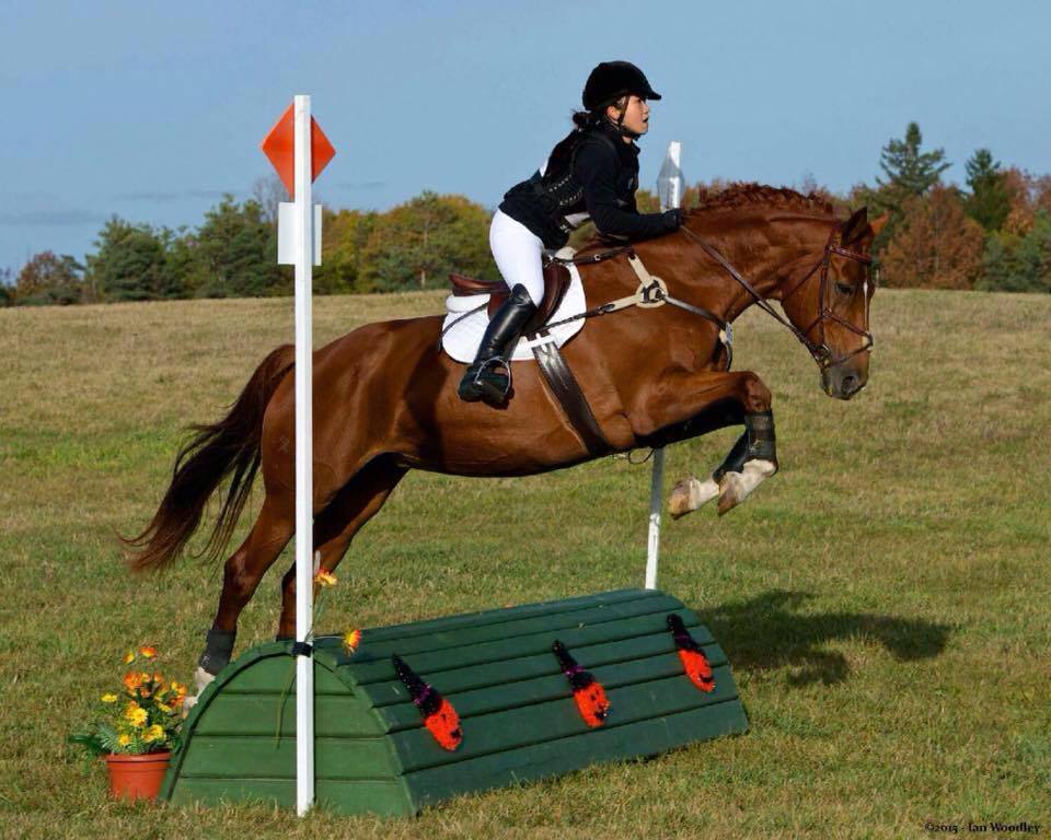 horse and rider jumping XC