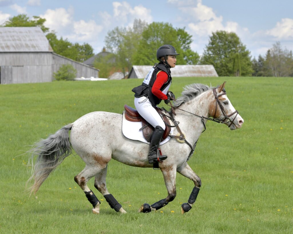outside photo of asian woman galloping a small spotted horse on grass at a horse show